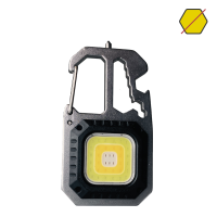 COMPANION LIGHT